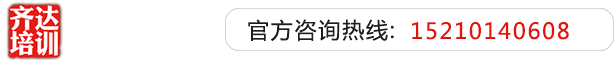 操了大黑屄齐达艺考文化课-艺术生文化课,艺术类文化课,艺考生文化课logo